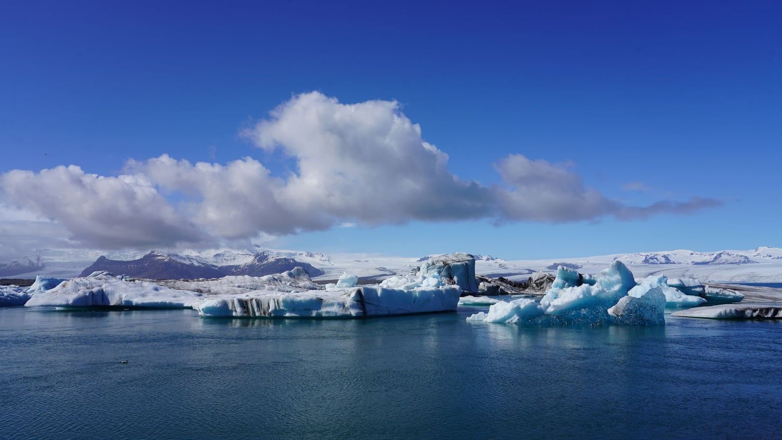 Bright blue icebergs float across the calm waters of Jökulsárlón glacier lagoon beneath a snow-covered mountain ridge.