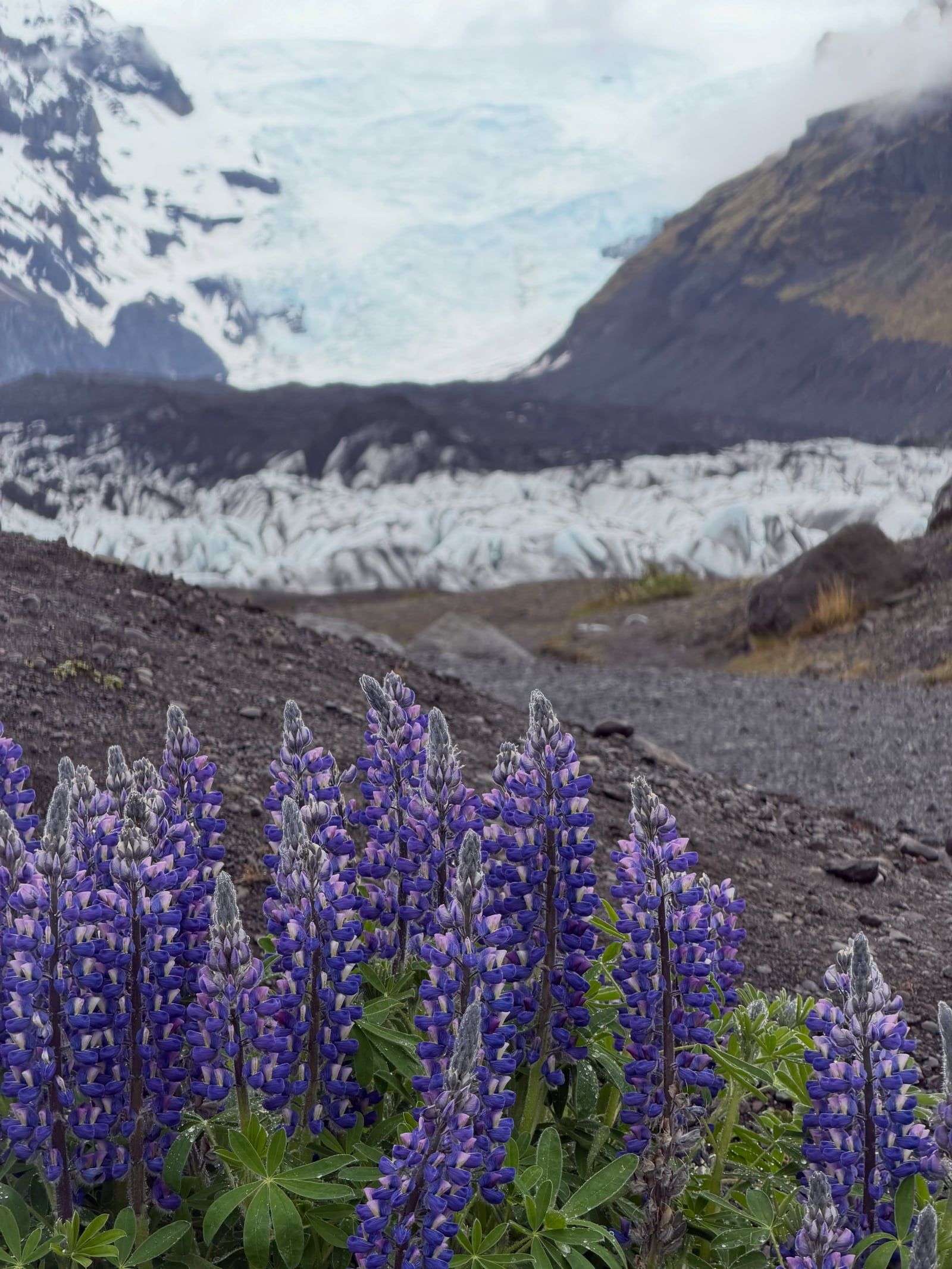 Vue de Glacier Sólheimajökull